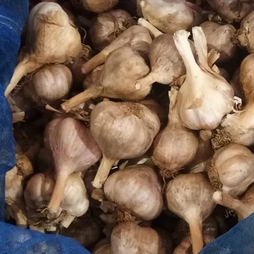 Garlic 1kg